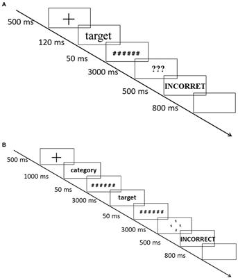 Involvement of the sensorimotor system in less advanced L2 processing: Evidence from a semantic category decision task